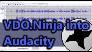 VDO.Ninja into Audacity, for high-quality audio recordings