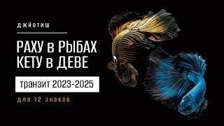 Раху в Рыбах, Кету в Деве в 2023-2025. Влияние на 12 знаков