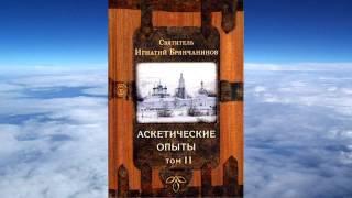 ТОМ 2 Ч.3 святитель Игнатий (Брянчанинов) - Аскетические опыты