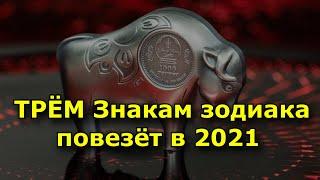 Этим знакам Зодиака повезёт в год Белого металлического Быка