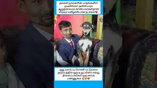 Pawsome moment ️🫰