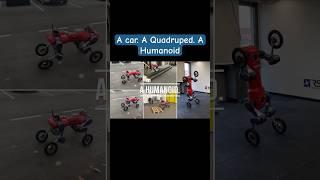 Future of Robotic Mobility #artificialintelligence #tesla #humanoidrobot #quadruped #robot #robotics