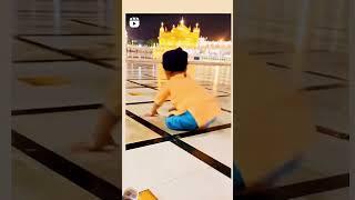 waheguru ji #love #song #waheguru #guru #amritsar #darbarsahib #goldentemple #gurbani #positivity
