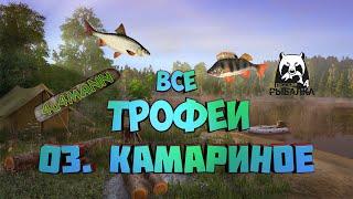 РУССКАЯ РЫБАЛКА 4 (RUSSIAN FISHING 4) - ВСЕ ТРОФЕИ ОЗ. КОМАРИНОЕ. ГДЕ ЛОВИТЬ?