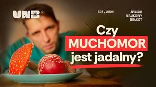 Czy muchomor jest jadalny?