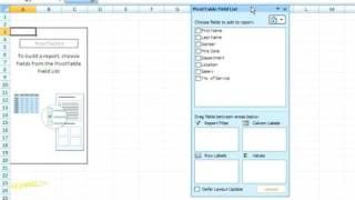 How to Create a Pivot Table in Excel 2007 For Dummies