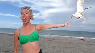 You Laugh, You Lose!  Best Funny Fails of the Week
