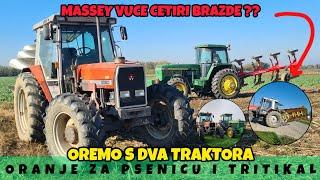 MASSEY OD 100KS VUCE CETIRI BRAZDE?? OREMO S DVA TRAKTORA, ORANJE ZA PSENICU I TRITIKAL/AGROVLOG/#89