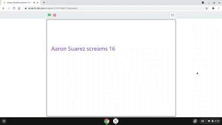 Aaron Suarez screams 16