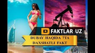 Dubay haqida 7 ta daxshatli fakt