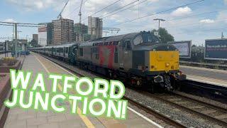 Trains at Watford Junction (02/08/24)