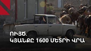 Ույծ, Սիսիան․ ցորեն ու կաթ կա, շուկա չկա