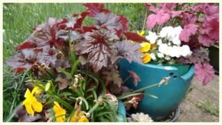 Garten im April / Garden 2016 - App Slideshow Maker / Diashow Gestalter