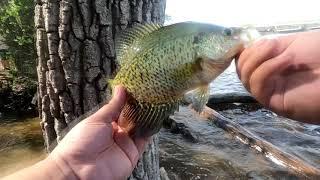 Coon Rapid Dam Bass Opener Fishing