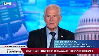 Trump Advisers Downplay Court Ruling: Peter Navarro Full Interview