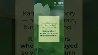 Karma is a gentle nudge to return to where you went astray.