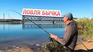 КАК и на что ЛОВИТЬ БЫЧКА на Азовском море?! Рыбалка в Геническе