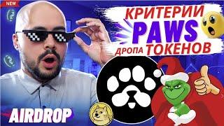 PAWS Критерии Airdrop. Как получить много токенов на TGE