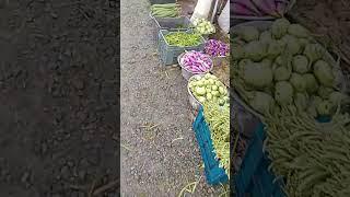  vegetable market  #shorts #viral #trending #farming #vegetables ‎@hanbuinfo5184 