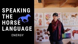 Speaking the Horse Language | Part 7 How Your Energy Affects Your Horse's Energy