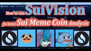 How to use SuiVision Explorer to Analyze Sui Meme Coins Like $BLUB, see Holder Count, and Make Swaps