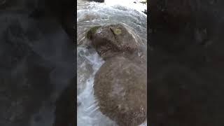 Рыбалка в Чечне