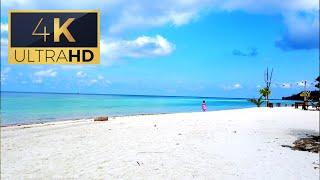 4K The AMAZING Srithanu Beach MUST VISIT Paradise in Koh Phangan Thailand