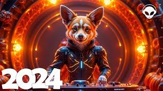 EDM Music Mix 2024  EDM Remixes of Popular Songs  Bass Boosted & Future Bass Music