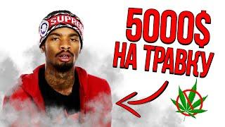 Slimesito: Я трачу 5000$ на траву в месяц (Перевод)