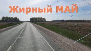 Работа на фуре в мае 2021 года! Жирный май!