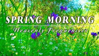 Relaxing Nature Ambience Meditation  8h  G E N T L E - B R E E Z E   Healing Sounds of SPRING