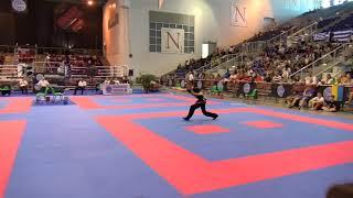 Ilia Grigorev WAKO World Championships 2018