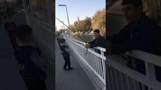 Fishing in Tashkent, Uzbekistan  | Рыбалка в Ташкенте, Узбекистан | Toshkentda baliq ovlash