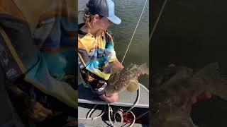 Flatty fishing Australia #flathead #flatheadfishing #fish #fishingaustralia #flatheads #australia