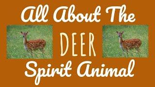  THE DEER SPIRITThe Deer as your Spirit Animal & its Symbolism