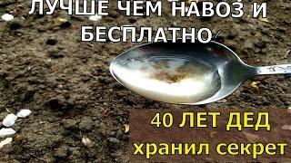 1 ЛОЖКУ НА ВЕДРО ВОДЫ И ЗЕМЛЯ КАК НОВАЯ! ПРОЛЕЙТЕ ЭТИМ ЗЕМЛЮ ДЛЯ ОБИЛЬНОГО УРОЖАЯ ВСЕХ КУЛЬТУР.