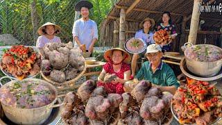 Khoai Thơm Nấu Tôm Thịt, Sườn Ram Mặn | Thu Hoạch Nhổ Khoai Thơm Trong Vườn Quê || Countryside rice