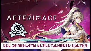 Afterimage: Все фрагменты "Божественного цветка"