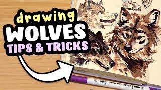 WOLF Sketchbook Session! (+ tips and tricks)