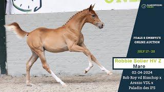 Robbie Solier HV Z – Foals & Embryo’s Online Auction – Paardenveilingonline.com