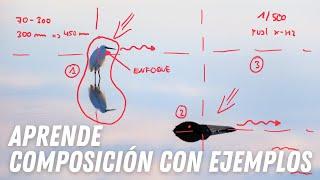 Mejora tu Composición Fotográfica: Aprende con Ejemplos Prácticos