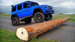 Cars vs Fallen Tree Challenge in BeamNG Drive!