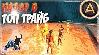 НАБОР В ТОП ТРАЙБ В АРК - Ark survival evolved #7