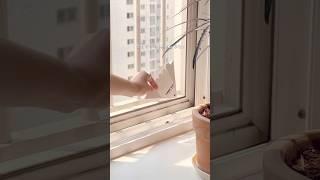 와..창문에 이걸 붙였더니 생기는 일!! 안붙이면 어쩔뻔 했어요?  #살림꿀템 #살림꿀팁