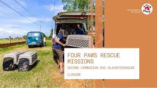 Second Cambodian dog slaughterhouse closure | FOUR PAWS | www.four-paws.org