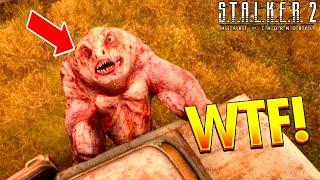 S.T.A.L.K.E.R. 2 Funny and Epic WTF Moments 10