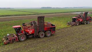 Beeting the rain | 2x new Holmer Terra Dos T5-40 | Breure - De Waard & Jan Bakker