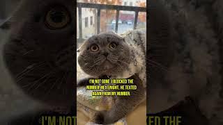 These Cats Witnessed an Unimaginable Horror - Chapter 20 #cat #creepy #creepypasta #creepystories