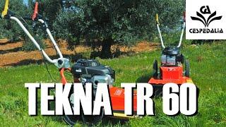 Desbrozadora Tekna TR 60 ️ Cespedalia