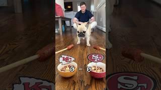 the Frenchies predict the SUPER BOWL 2024 Champions  #puppy #dogs #nfl #football #funny #dog #pets